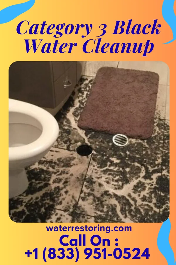 Category 3 Black Water Cleanup in Deer Grove, IL